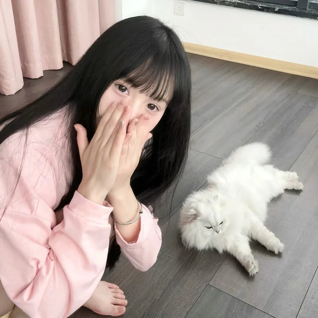 平凡职业造就世界最强第二季